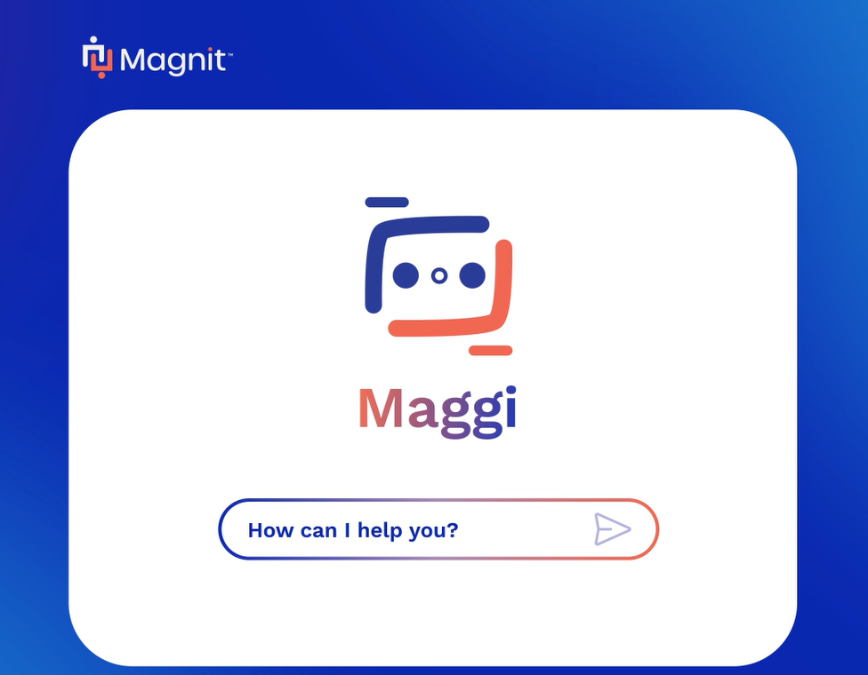 maggi-product-overview